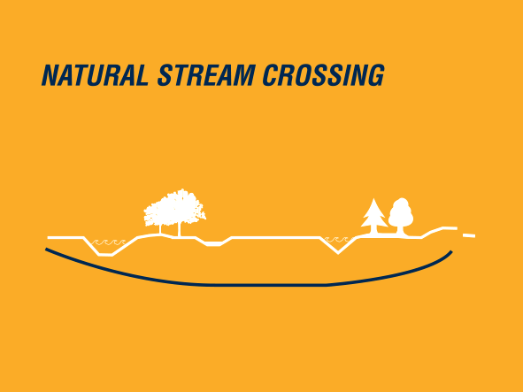 infografia_phd_aplicacions_1_en