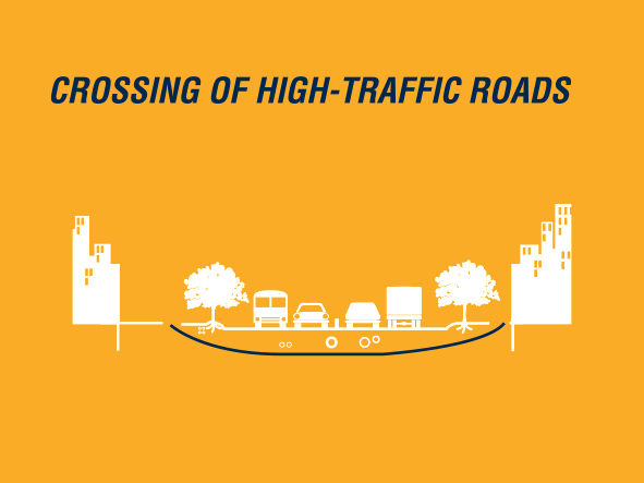 infografia_phd_aplicacions_6_en